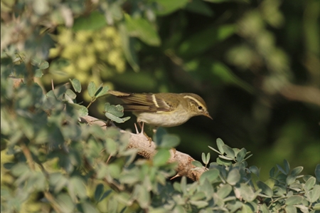 Records for H1 & H2 2024